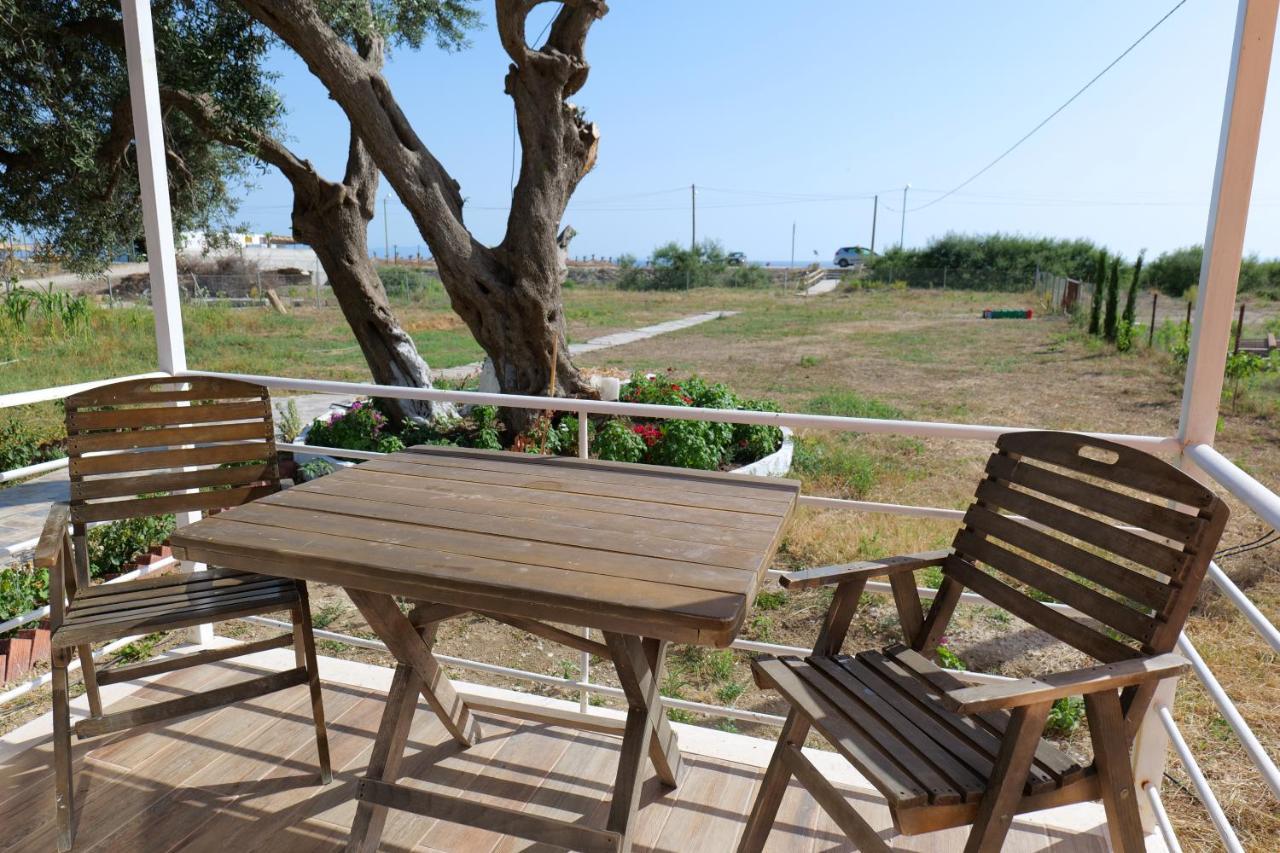 Vila Ari บอร์ช ภายนอก รูปภาพ